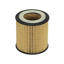 Load image into Gallery viewer, aFe Pro GUARD D2 Oil Filter (4 Pack) (44-LF029-MB)