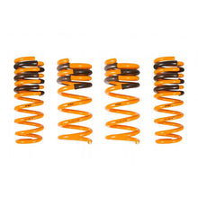 Load image into Gallery viewer, Ark Performance GT-F Lowering Springs (LF1102-0103)