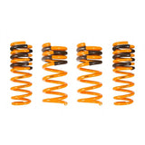 Ark Performance GT-F Lowering Springs (LF1102-0103)