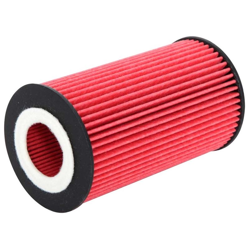 K&N Oil Filter (HP-7004)