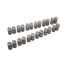 Load image into Gallery viewer, VALVE SPRING SET VR38DETT (TA304A-NS01A)