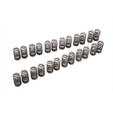 VALVE SPRING SET VR38DETT (TA304A-NS01A)