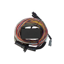 Load image into Gallery viewer, Haltech Elite 750 Premium Universal Wire-in Harness 2.5m (8&#39;) (HT-140604)