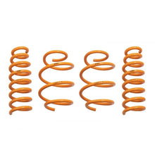 Load image into Gallery viewer, Ark Performance GT-F Lowering Springs (LF0804-0118)