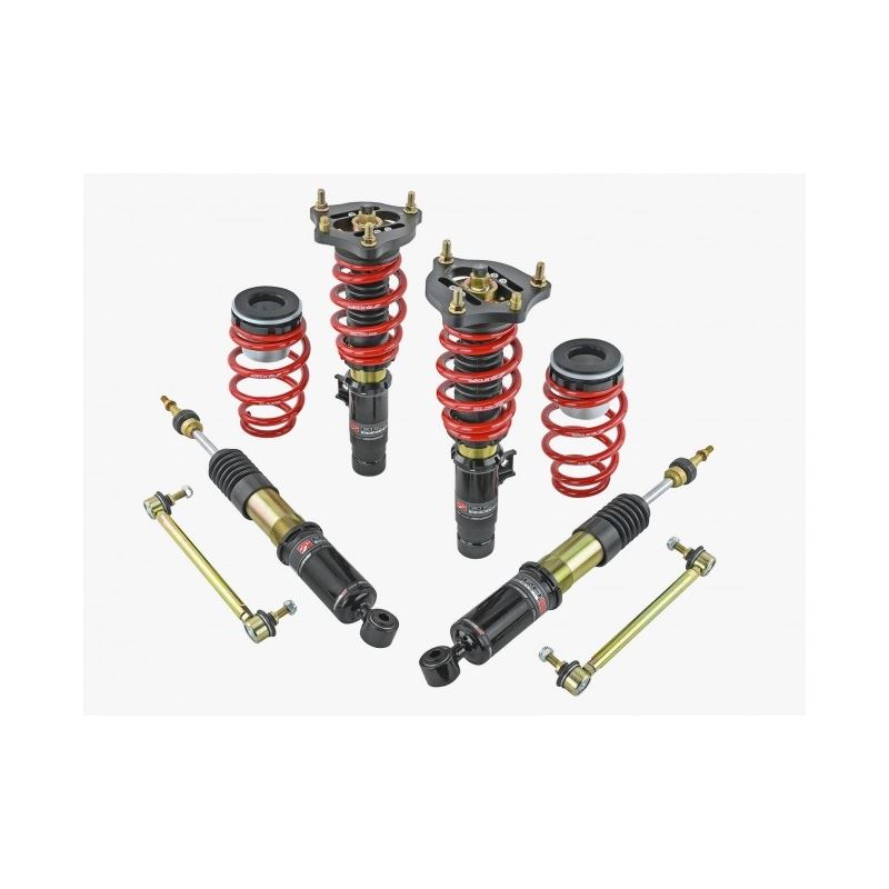 Skunk2 Racing Pro-ST Coilover Shock Absorber Set for 2017-2020 Honda Civic (541-05-8780)