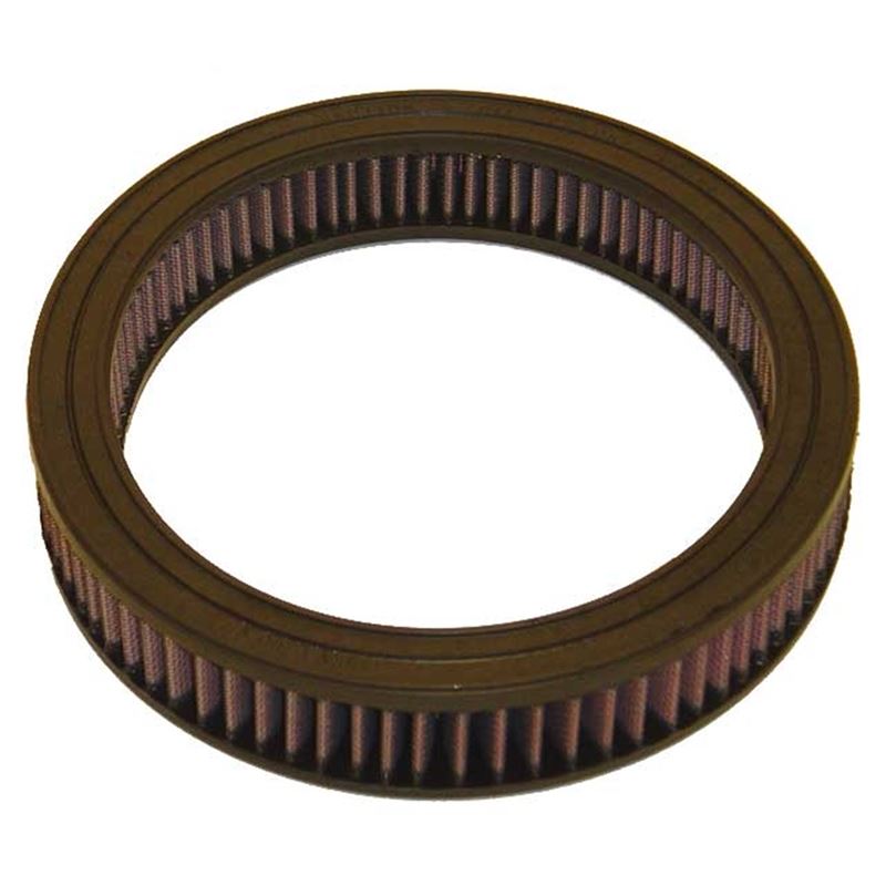 K&N Air Filter (E-1117)