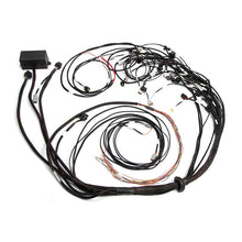 Load image into Gallery viewer, Haltech Elite 2500 Ford Falcon FG Barra 4.0 Terminated Harness (HT-141389)