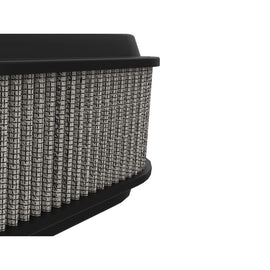 aFe Magnum FLOW OE Replacement Air Filter w/ Pro DRY S Media (C8) 2020 V8-6.2L (11-10148)