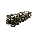 GSC Power-Division 4G63T Single Beehive Spring set for Evo 8/9 (gsc5039)