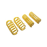 ST Suspension Lowering Springs for 04-10 Chrysler 300C 2WD/06-10 Dodge Charger 05-08 Magnum (65504)