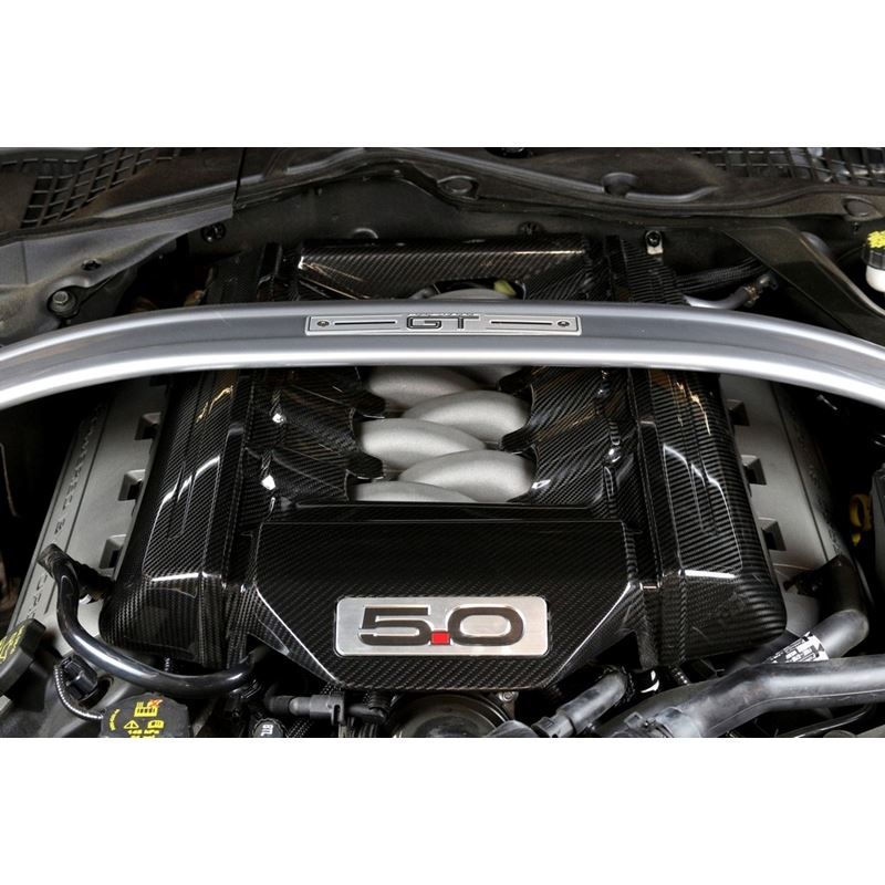 APR Performance Carbon Fiber Engine Cover (CBE-MUGENG15)