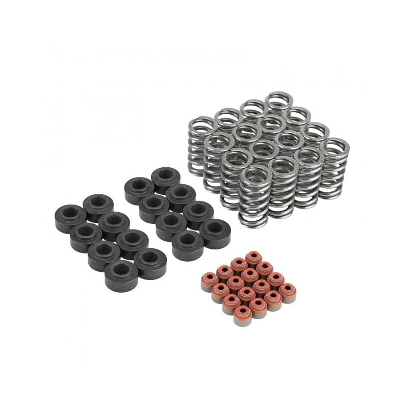 Skunk2 Honda K20C1/K20C4 Ultra Valve Springs and Spring Base Kit (313-05-9100)