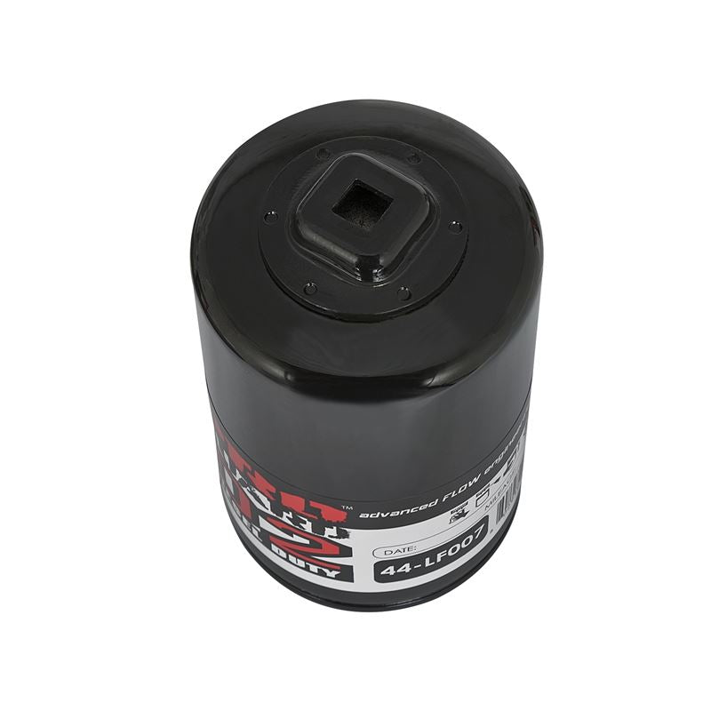 aFe Pro GUARD D2 Oil Filter (4 Pack) (44-LF007-MB)