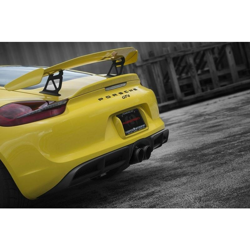 Fabspeed 981 Cayman GT4 Spyder Valvetronic Exhaust System (FS.POR.981GT4.VLVBR)