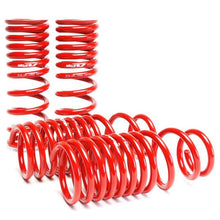 Load image into Gallery viewer, Skunk2 Racing Lowering Coil Spring Set (519-05-1650)