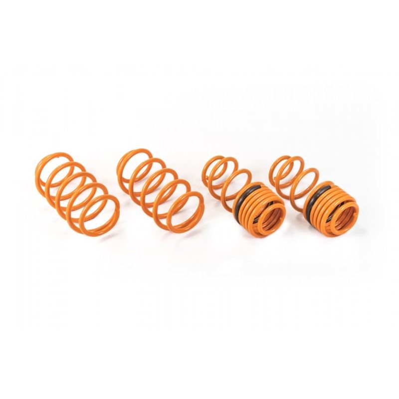 Ark Performance GT-F Lowering Springs (LF0605-0500)