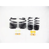 RS-R Super Down SUS Lowering Springs, 17+ Honda Civic Type R (H059S)