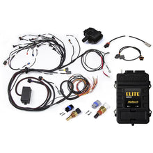 Load image into Gallery viewer, Haltech RB Single Cam Elite 2500 ECU Harness Kit (HT-151311)