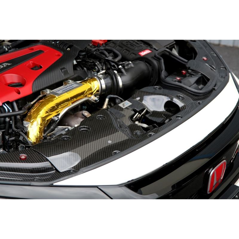 APR Performance Carbon Fiber Radiator Cooling Shroud ( Center) (CF-917001)