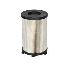 Load image into Gallery viewer, aFe Pro GUARD D2 Fuel Filter (44-FF012)