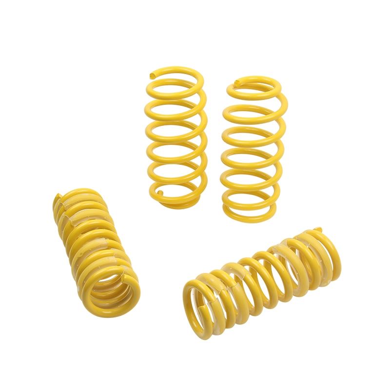 ST Suspension Lowering Springs for 04-10 Chrysler 300C 2WD/06-10 Dodge Charger 05-08 Magnum (65503)