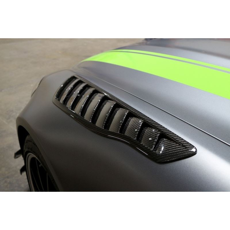 APR Performance Fender Vents for 2020-2020 Mercedes-Benz AMG GT R Pro(CF-580052)