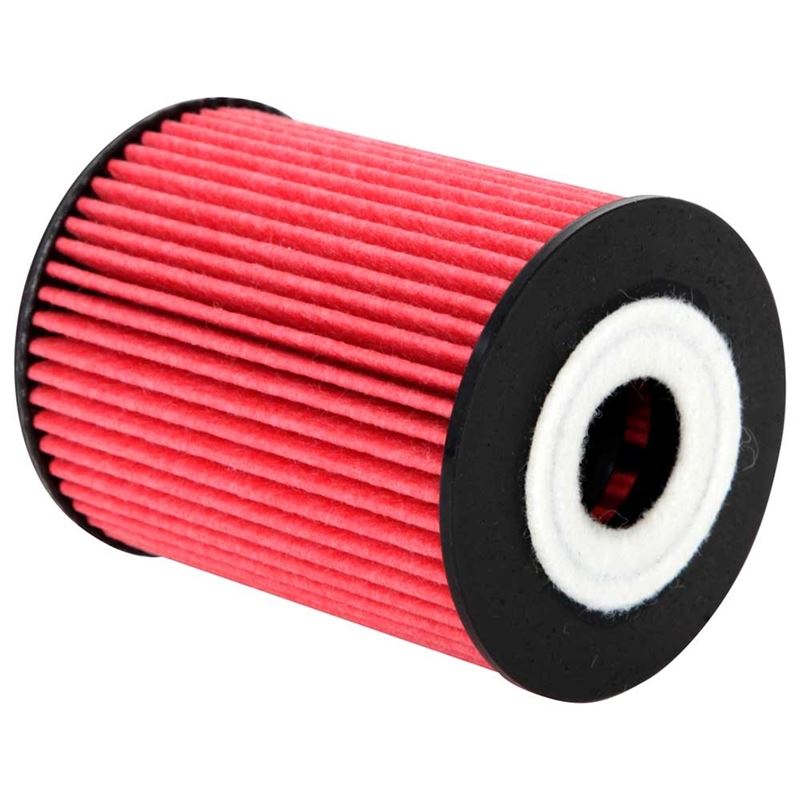 K&N Oil Filter (HP-7035)