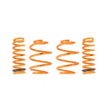 Load image into Gallery viewer, Ark Performance GT-F Lowering Springs (LF0704-0014)