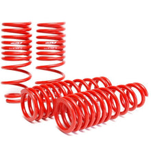 Load image into Gallery viewer, Skunk2 Racing Lowering Coil Spring Set (519-05-1560)