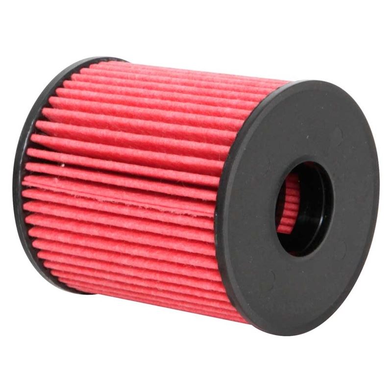 K&N Oil Filter (HP-7024)