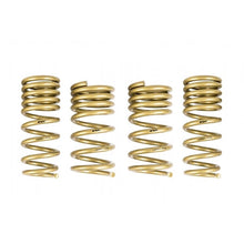 Load image into Gallery viewer, Ark Performance GT-S Lowering Springs (LS0901-0209)