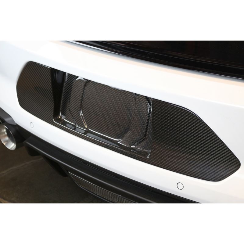 APR Performance Carbon Fiber License Plate Frame (CBX-MUGLIC)