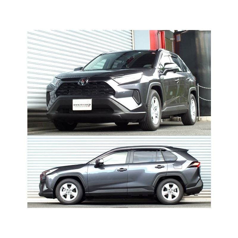 RS-R Down SUS Lowering Springs for 2019+ Toyota Rav4 FWD (T073D)