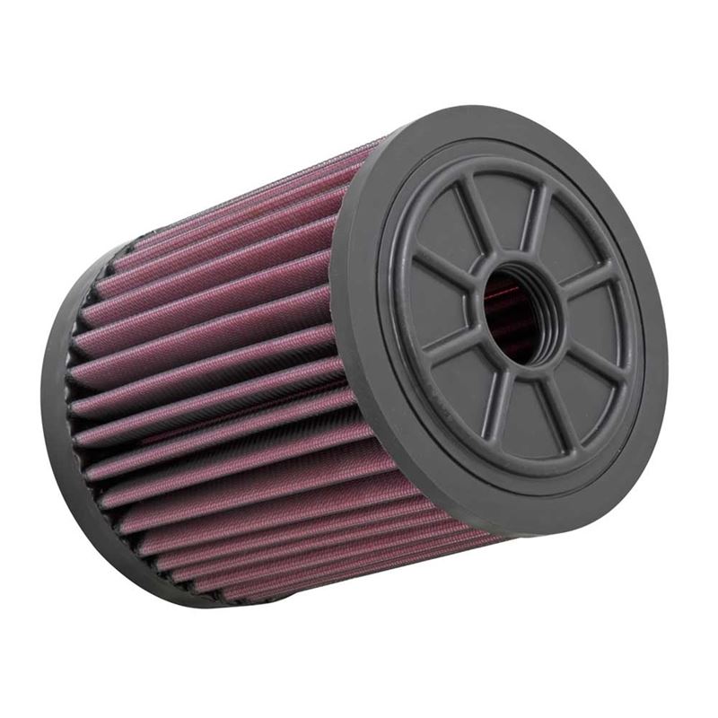 K&N Air Filter (E-1983)