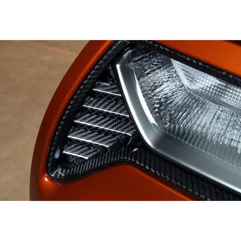 APR Performance Carbon Fiber Tail light Bezel (CBX-C7TBEZEL)