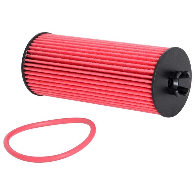 K&N Oil Filter (HP-7025)