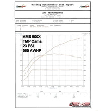 Load image into Gallery viewer, AMS Mitsubishi Lancer Evolution X TMP Camshafts (AMS.04.04.0011-1)