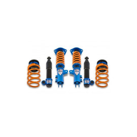 Ark Performance DT-P Coilovers (CD0703-0112)