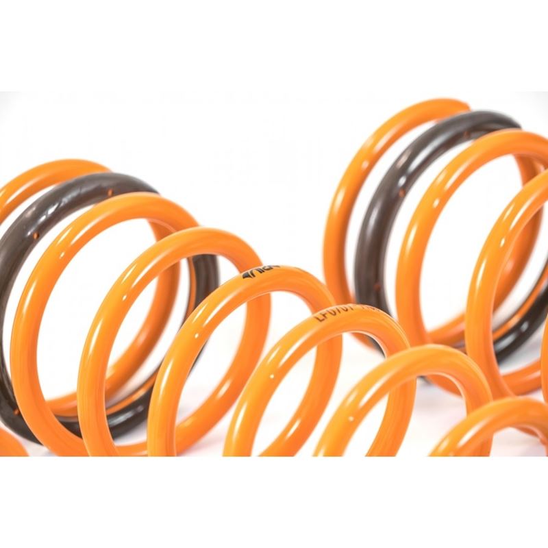 Ark Performance GT-F Lowering Springs (LF0701-1100)