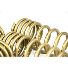 Load image into Gallery viewer, Ark Performance GT-S Lowering Springs (LS0900-0300)