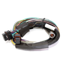 Load image into Gallery viewer, Haltech Elite 2500 - 2.5m (8 ft) Basic Uni Wire-in Harness Only (HT-141302)