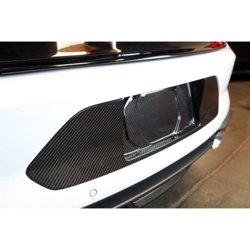 APR Performance Carbon Fiber License Plate Frame (CBX-MUGLIC)