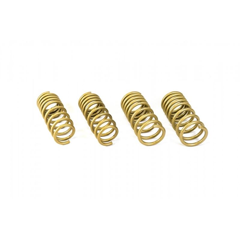 Ark Performance GT-S Lowering Springs (LS0900-0300)