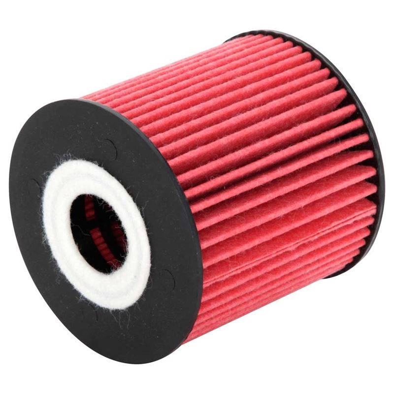 K&N Oil Filter (HP-7002)