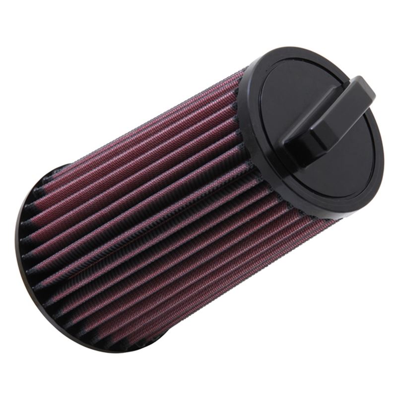 K&N Air Filter (E-2985)