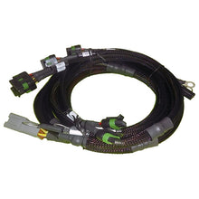 Load image into Gallery viewer, Haltech 8 channel High Output Ignition Coil Harness Only GM/Chrysler (HT-130306)