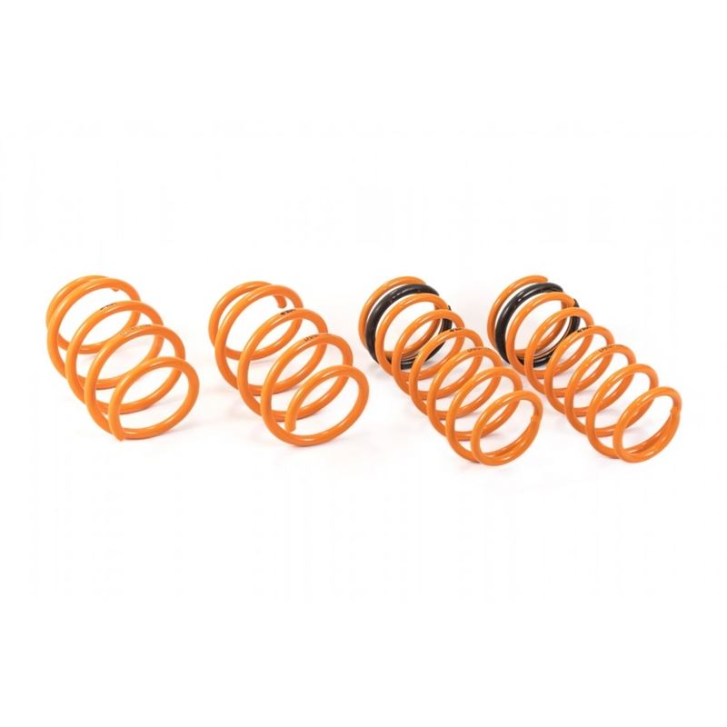 Ark Performance GT-F Lowering Springs (LF0701-1100)