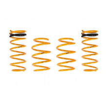 Load image into Gallery viewer, Ark Performance GT-F Lowering Springs (LF0703-0112)