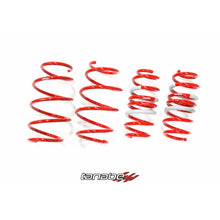 Load image into Gallery viewer, Tanabe NF210 Springs 11 Lexus CT200h (TNF165)