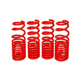 Blox Racing Lowering Springs Tesla Model 3 Long Range RWD (BXSS-61000)